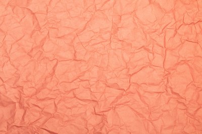 ROSA-SALMONE.webp