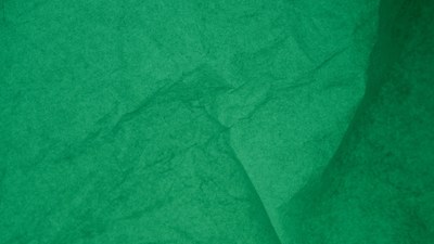 VERDE SCURO.webp